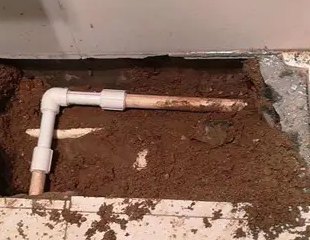 石柱测漏水哪家好