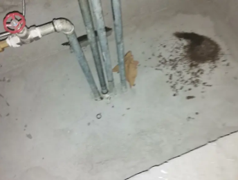 石柱卫生间测漏水价格明细