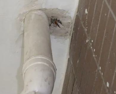 石柱漏水检测哪家好